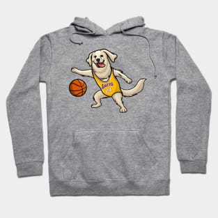 Golden Retriever Dog Hoodie